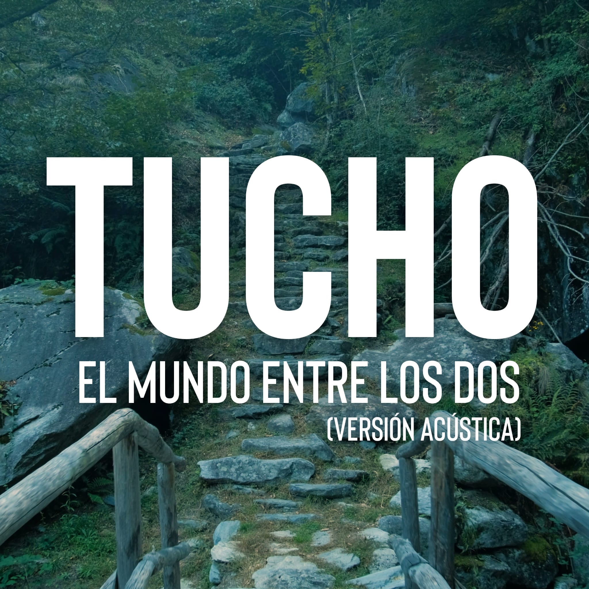 LO NUEVO DE TUCHO