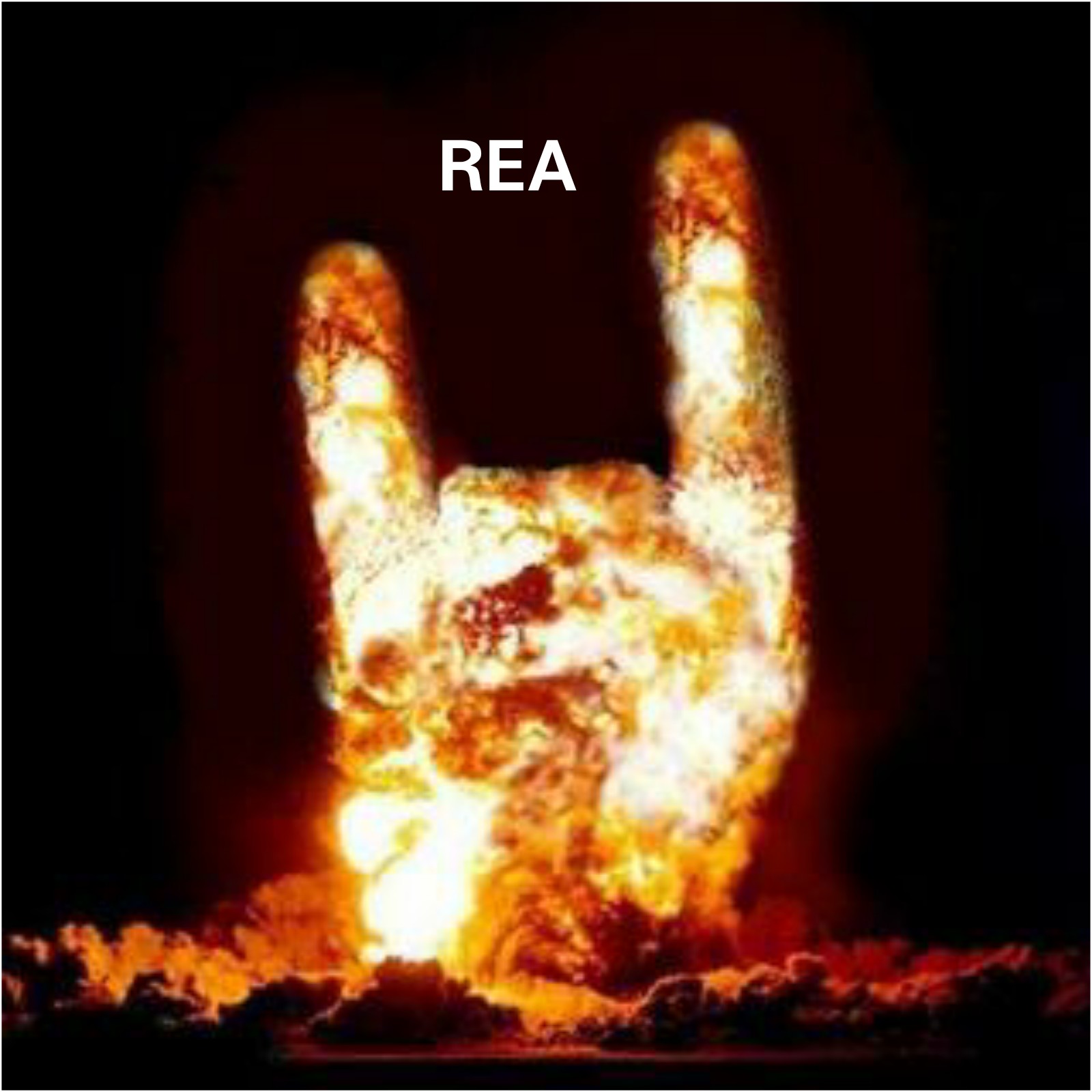Dos añitos de REA