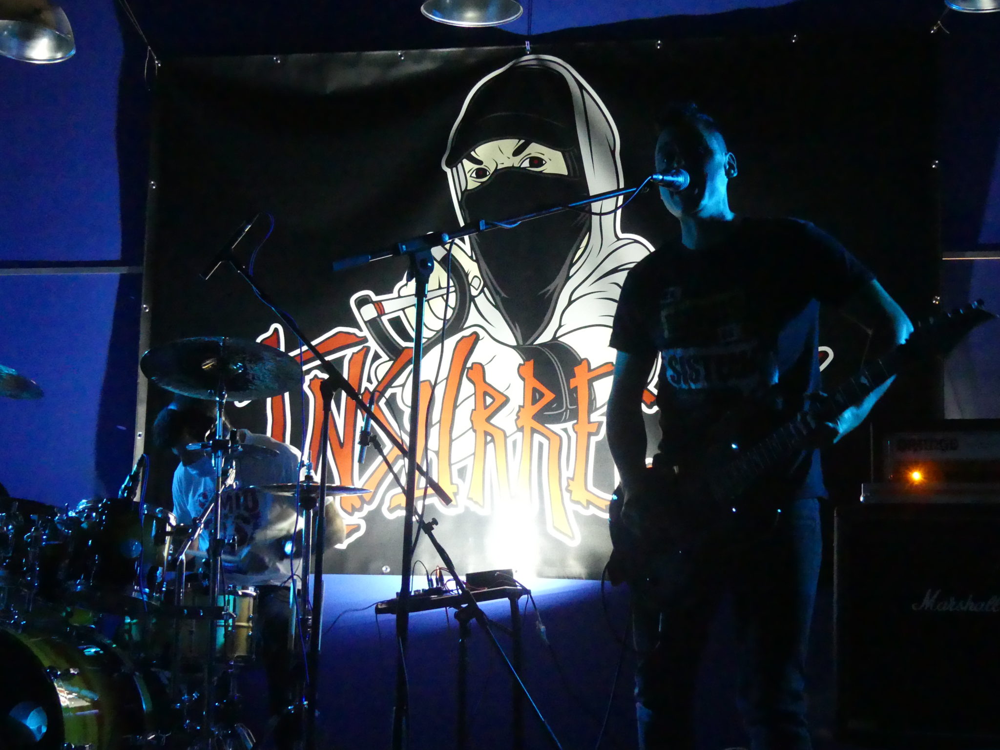 INSURRECTOS