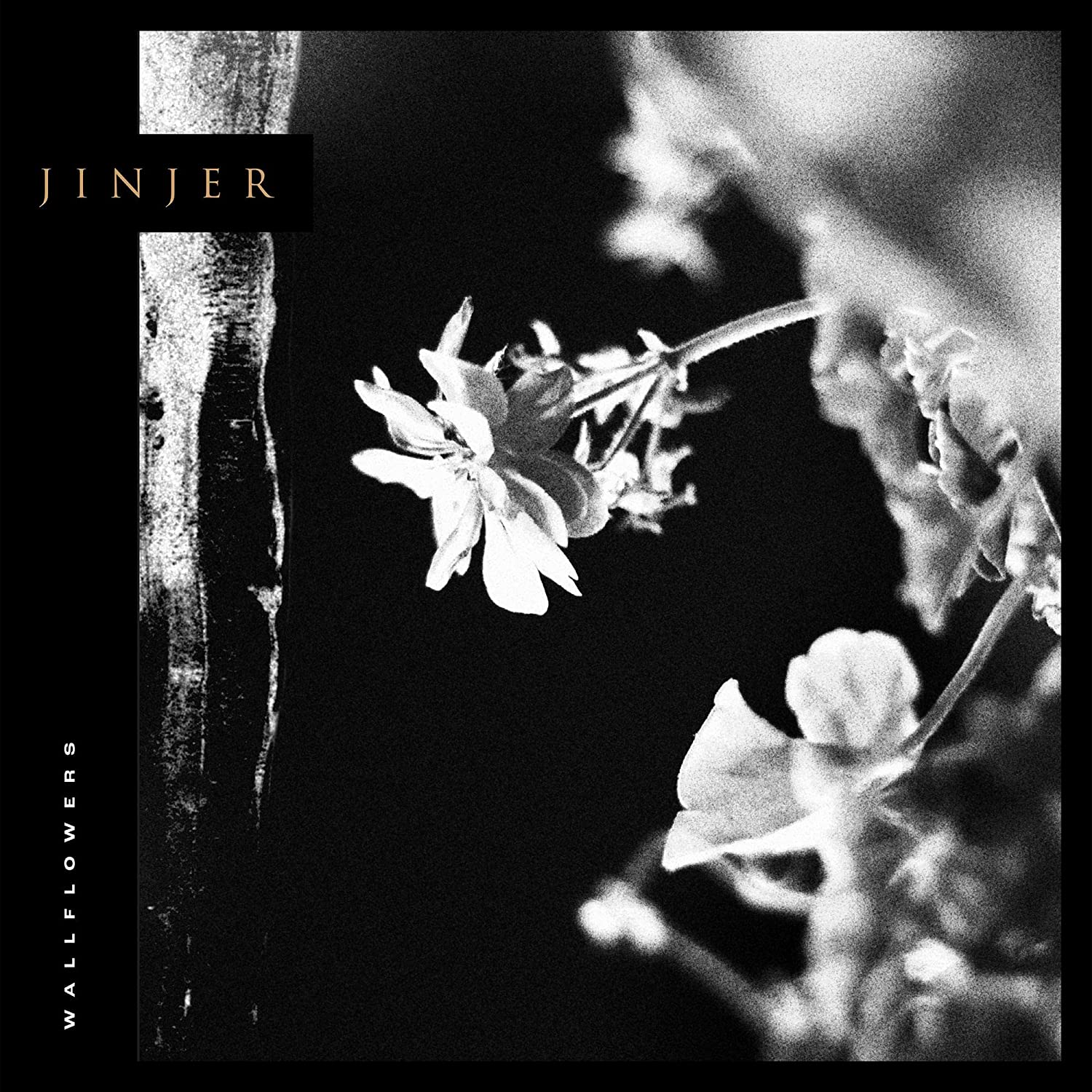 1365 – JINJER – Wallflowers