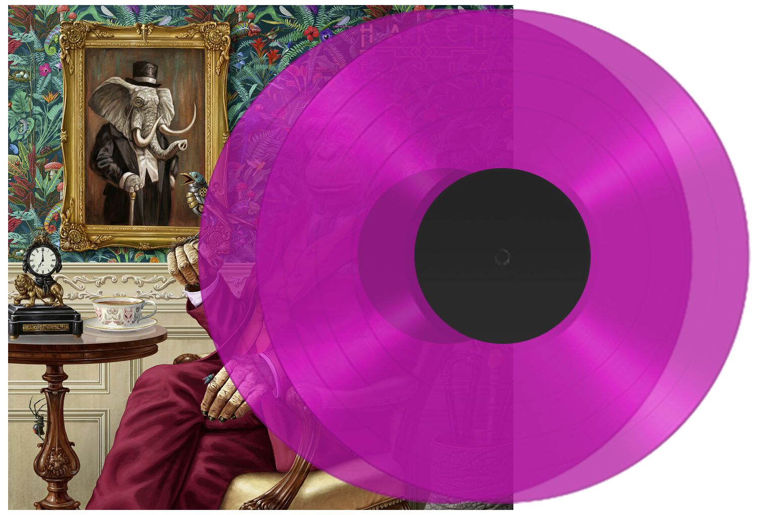 HAKEN al Disco de la Semana