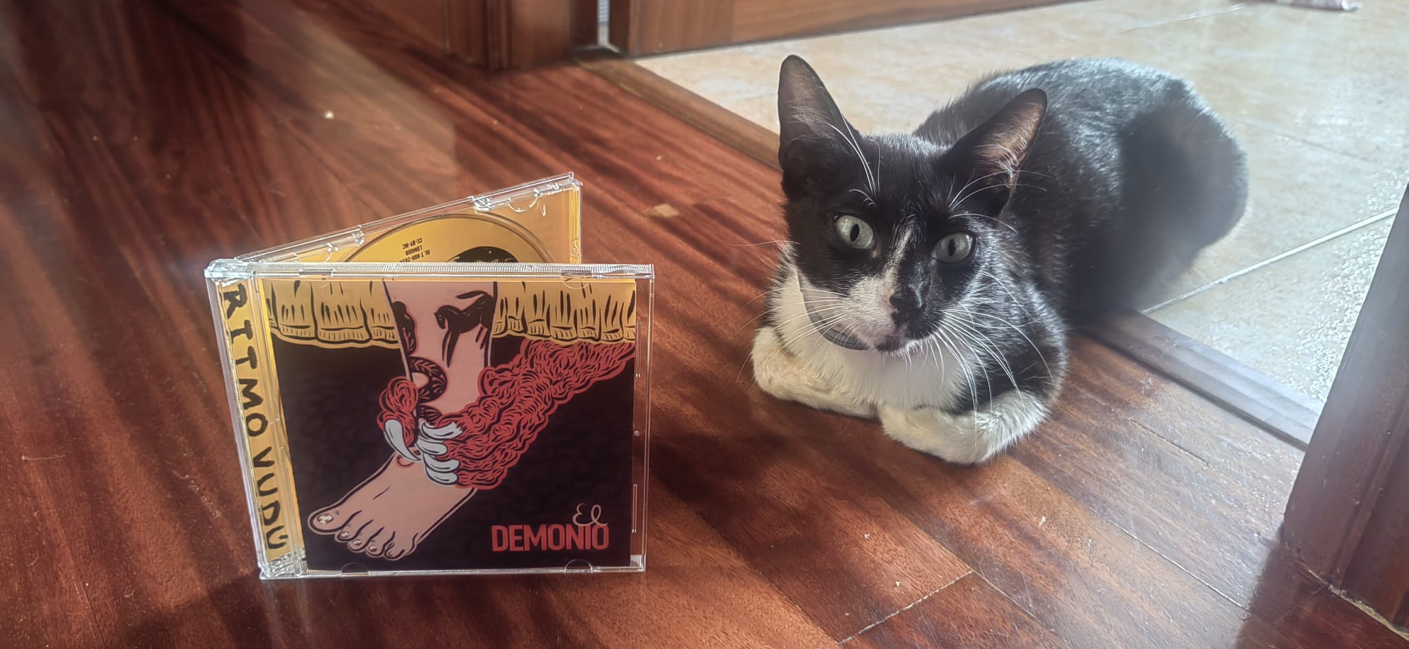 RÍTMO VUDÚ al Disco de la Semana