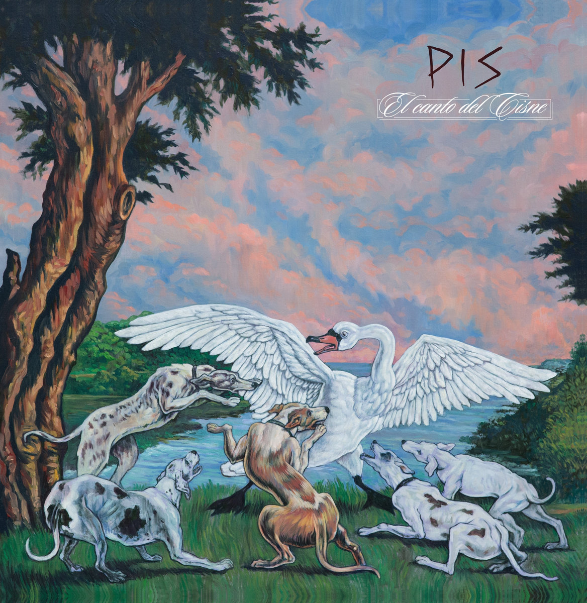 1525 – PIS – El Canto del Cisne