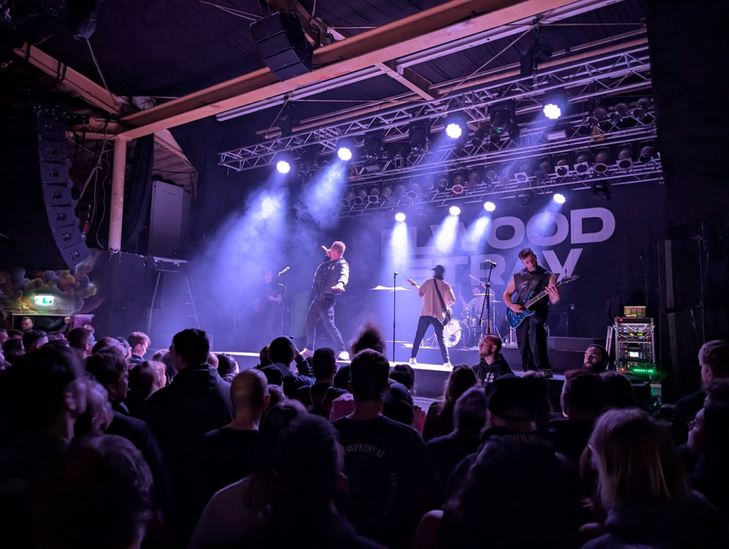 Elwood Stray en el escenario. Maik Nehrkorn cantando.